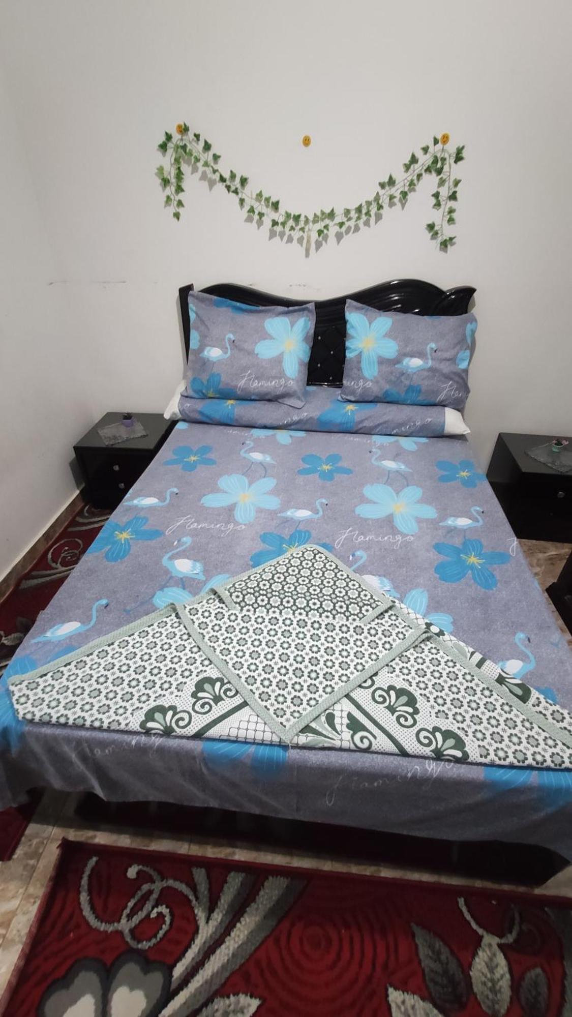The Flowers Apartment Alessandria Esterno foto
